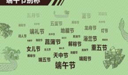 端午节介绍视频,传承千年的民俗风情与粽子盛宴
