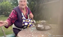 老太太视频,老太太的温馨日常视频感动网友